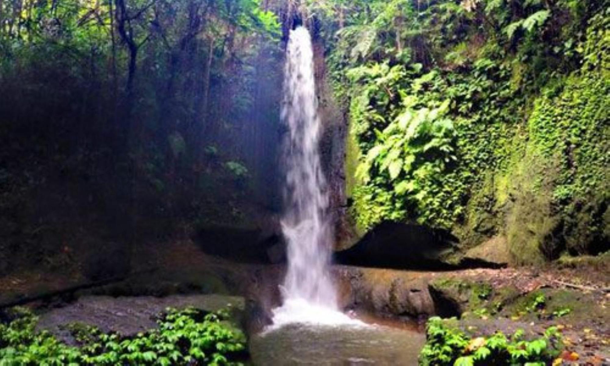 Aksari Luxury Resort & Spa Ubud By Ini Vie Hospitality Tegallalang  Eksteriør billede